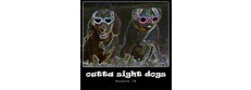 Outta Sight Dogs