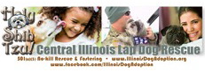 Holy Shih Tzu! Central Illinois Lap Dog Rescue