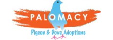 Palomacy Pigeon & Dove Adoptions