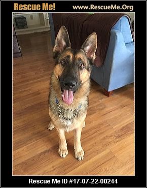 Texas German Shepherd Rescue ― ADOPTIONS ― RescueMe.Org