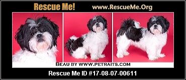 Pet Finder,lost pet finder,pet finder websites,home again pet finder,pet finders near me