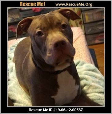 - Tennessee Dog Rescue - ADOPTIONS - Rescue Me!