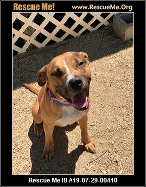 - Oregon Dog Rescue - ADOPTIONS - Rescue Me!