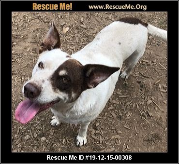 - Oregon Dog Rescue - ADOPTIONS - Rescue Me!