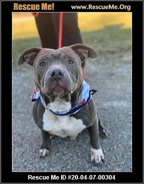 - Ohio Dog Rescue - ADOPTIONS - Rescue Me!