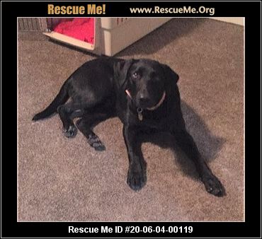 - Utah Dog Rescue - ADOPTIONS - Rescue Me!