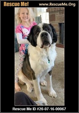 - Ohio Dog Rescue - ADOPTIONS - Rescue Me!