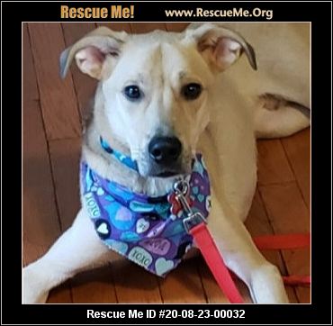 - Virginia Dog Rescue - ADOPTIONS - Rescue Me!