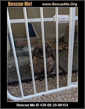- Nebraska Rabbit Rescue - ADOPTIONS - Rescue Me!