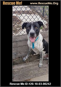 - Iowa Dog Rescue - ADOPTIONS - Rescue Me!