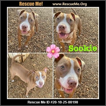 - Oregon Dog Rescue - ADOPTIONS - Rescue Me!