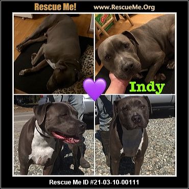 - Oregon Dog Rescue - ADOPTIONS - Rescue Me!