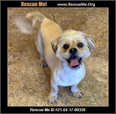 - Arizona Dog Rescue - ADOPTIONS - Rescue Me!