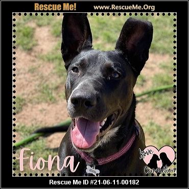 - Arizona Dog Rescue - ADOPTIONS - Rescue Me!