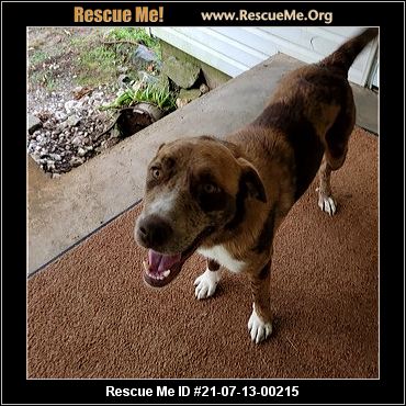 - Arkansas Dog Rescue - ADOPTIONS - Rescue Me!