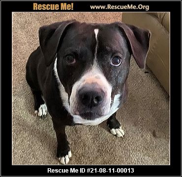 - West Virginia Dog Rescue - ADOPTIONS - Rescue Me!