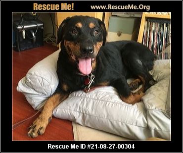 - California Rottweiler Rescue - ADOPTIONS - Rescue Me!