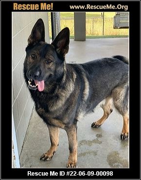 - Florida German Shepherd Rescue - ADOPTIONS - Rescue Me!