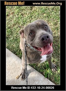 - Texas Pit Bull Rescue - ADOPTIONS - Rescue Me!