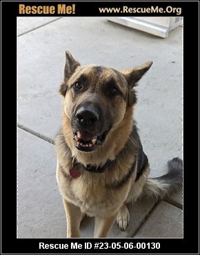 - Idaho German Shepherd Rescue - ADOPTIONS - Rescue Me!