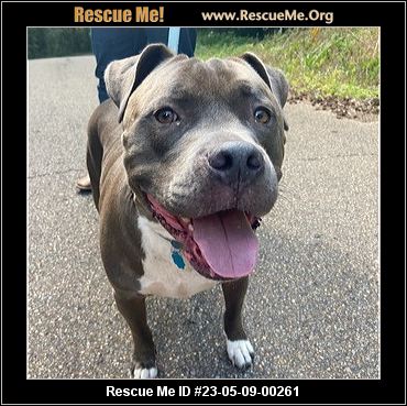 - Mississippi Dog Rescue - ADOPTIONS - Rescue Me!