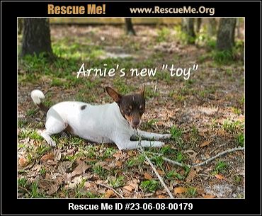 - Florida Fox Terrier Rescue - ADOPTIONS - Rescue Me!