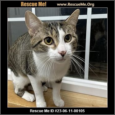 - Vermont Cat Rescue - ADOPTIONS - Rescue Me!