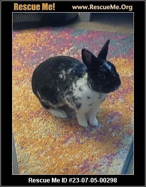 - Pennsylvania Rabbit Rescue - ADOPTIONS - Rescue Me!