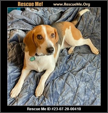 - Utah Dog Rescue - ADOPTIONS - Rescue Me!