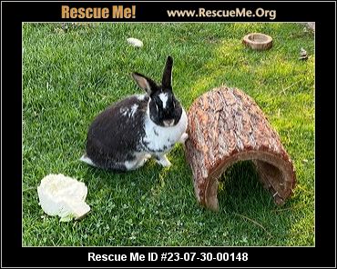 - Pennsylvania Rabbit Rescue - ADOPTIONS - Rescue Me!