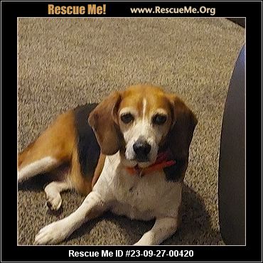 - Michigan Dog Rescue - ADOPTIONS - Rescue Me!