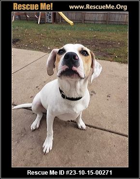 - Wisconsin Dog Rescue - ADOPTIONS - Rescue Me!