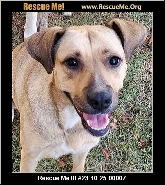 - Alabama Dog Rescue - ADOPTIONS - Rescue Me!