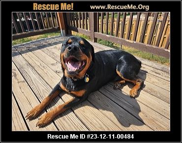 - Nebraska Dog Rescue - ADOPTIONS - Rescue Me!