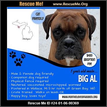 - Michigan Boxer Rescue - ADOPTIONS - Rescue Me!