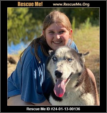 - Connecticut Dog Rescue - ADOPTIONS - Rescue Me!