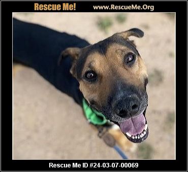 - Arizona German Shepherd Rescue - ADOPTIONS - Rescue Me!