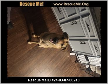 - Kentucky Dog Rescue - ADOPTIONS - Rescue Me!