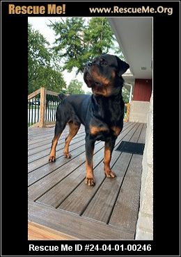 - Indiana Rottweiler Rescue - ADOPTIONS - Rescue Me!