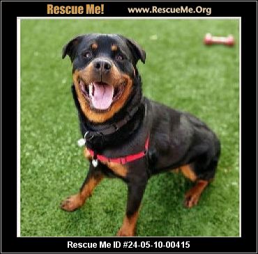 - Oregon Rottweiler Rescue - ADOPTIONS - Rescue Me!