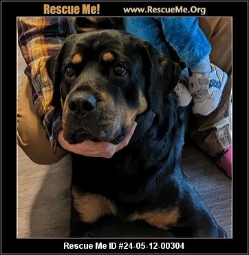 - Oregon Rottweiler Rescue - ADOPTIONS - Rescue Me!