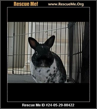 - Pennsylvania Rabbit Rescue - ADOPTIONS - Rescue Me!