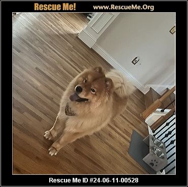 - Georgia Dog Rescue - ADOPTIONS - Rescue Me!