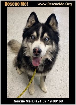 - Utah Dog Rescue - ADOPTIONS - Rescue Me!