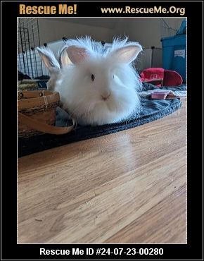 - Pennsylvania Rabbit Rescue - ADOPTIONS - Rescue Me!