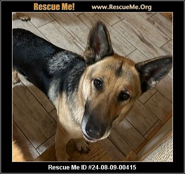 - Wisconsin German Shepherd Rescue - ADOPTIONS - Rescue Me!