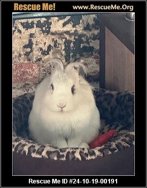 - Pennsylvania Rabbit Rescue - ADOPTIONS - Rescue Me!