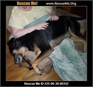 - Virginia Rottweiler Rescue - ADOPTIONS - Rescue Me!