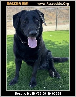 Ada County Animal Shelter